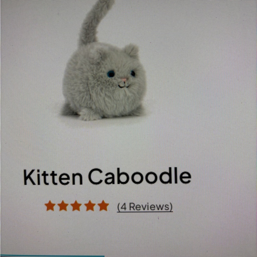 Jellycat Kittens CABOODLE Cream & Grey bundle of 2 Both Retired & Rare blue eyes - Picture 9 of 9